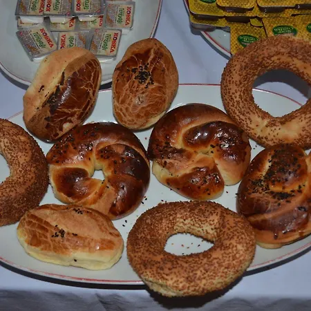 فندق جراند هيزار