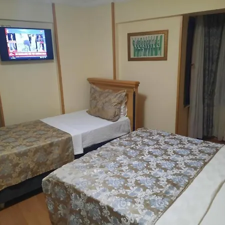 호텔 Grand Hisar 3*